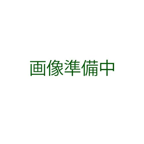 ネギ 種 【 ネギ優作一本太 】 種子 ２Ｌコート６千粒ビン