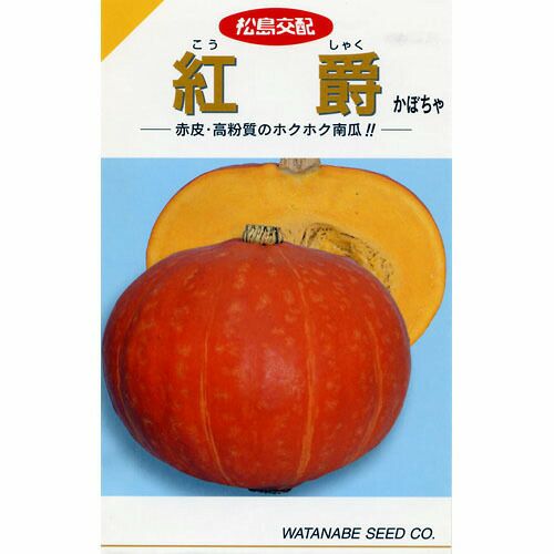 かぼちゃ 種 【紅爵】 12粒