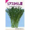 高菜・からし菜 種 【 リアスからし菜 】 種子