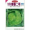 キャベツ 種 【 YR青春二号 】 種子 20ml