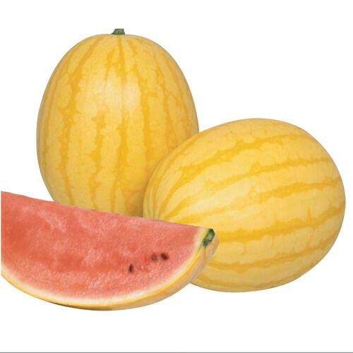 スイカ 種 【スイカ黄衛門】