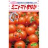 ミニトマト 種 【まゆか】
