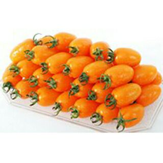 ミニトマト 種 【グラッセオレンジ】 20粒