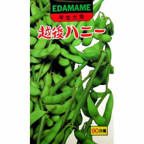 枝豆 種 【 越後ハニー 】 種子