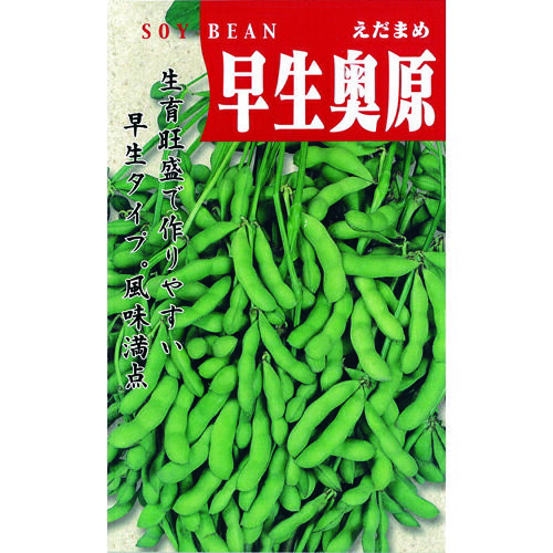 枝豆 種 【 奥原早生 】 種子