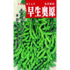 枝豆 種 【 奥原早生 】 種子
