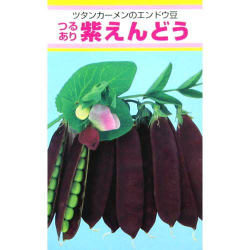 実取エンドウ 種 【紫えんどう】 20ml