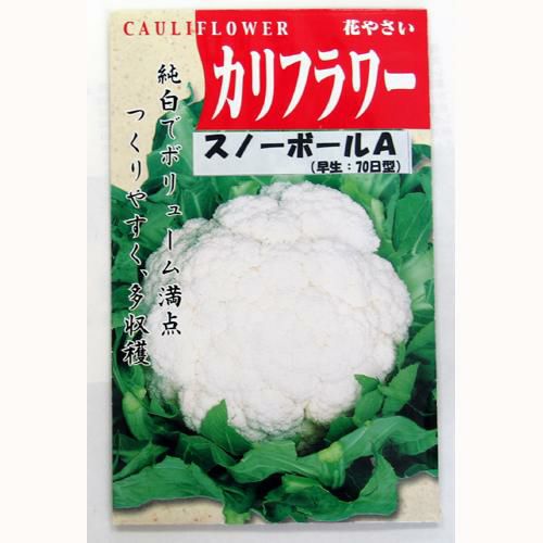 カリフラワー 種 【スノーボールA】 1ml