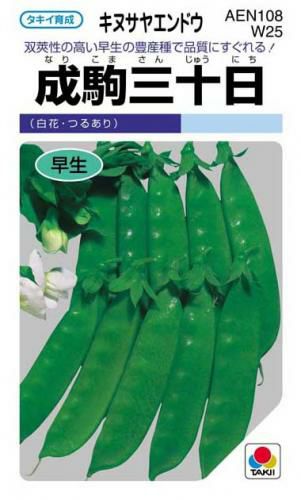 きぬさやエンドウ 種 【 成駒三十日 】