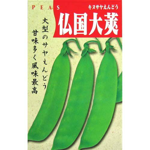 きぬさやエンドウ 種 【仏国大莢】 20ml