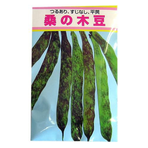 雑豆 種 【 桑の木豆 】 種子