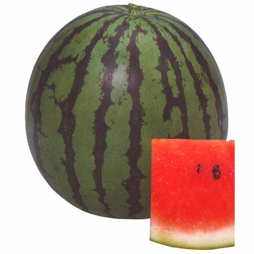 スイカ 種 【新大和二号】