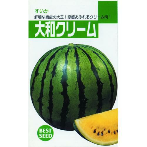 スイカ 種 【大和クリーム】