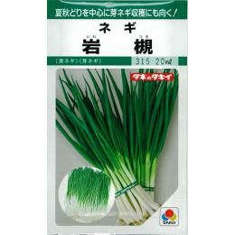 ネギ 種 【 岩槻葱 】 種子 小袋（約20ml） | 菜園くらぶ 種と苗と園芸資材の専門店