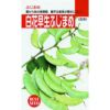 ふじ豆 種 【 白花早生ふじ豆 】 種子