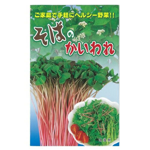 雑穀 種 【そばのかいわれ】 1dl