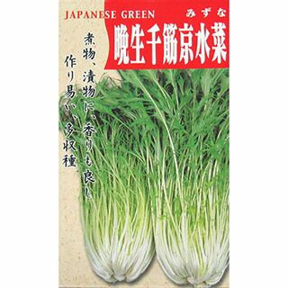 水菜 種 【 晩生千筋京水菜 】 種子