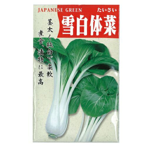 漬け菜 種 【雪白体菜】 10ml