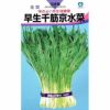 水菜 種 【 早生千筋京水菜 】 種子