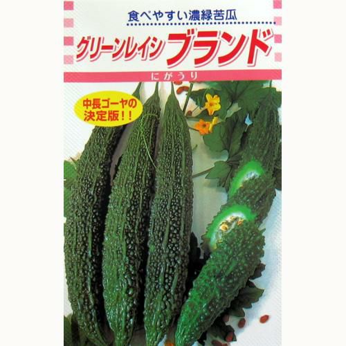 ゴーヤ 種 【 グリーンレイシブランド 】 種子