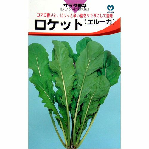 西洋野菜 種 【ロケット】