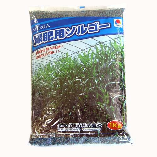 緑肥・牧草 種 【 ソルゴー 】 種子 1kg