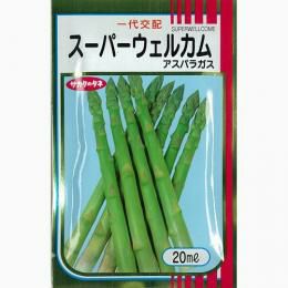アスパラガス 種 【 スーパーウェルカム 】 種子 22ml