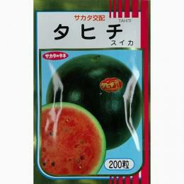 スイカ 種 【タヒチ】 200粒