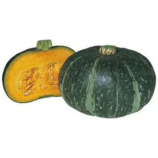 かぼちゃ 種 【 エムテン 】 種子 2dl缶