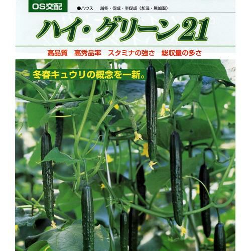 きゅうり 種 【ハイグリーン22】 350粒