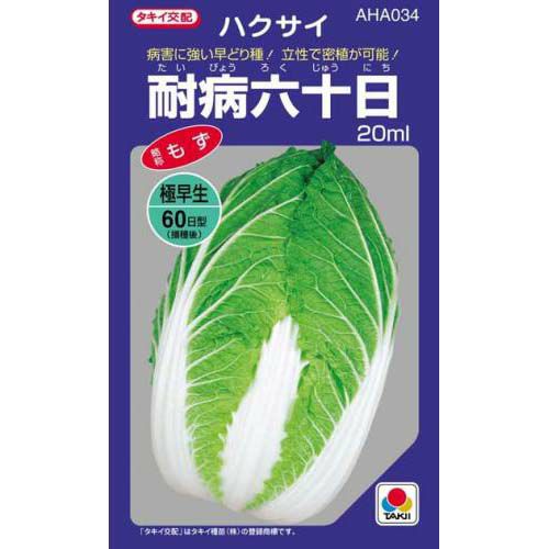 白菜 種 【 耐病六十日 】 種子