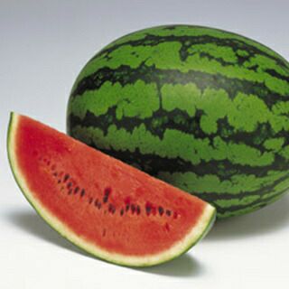 スイカ 種 【紅まくら】 200粒