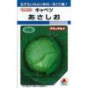キャベツ 種 【 あさしお 】