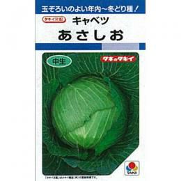キャベツ 種 【 あさしお 】 種子 L5千粒