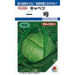 キャベツ 種 【 一号 】