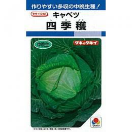 キャベツ 種 【 四季獲 】