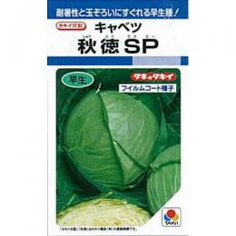 キャベツ 種 【 秋徳SP 】 種子 L5千粒