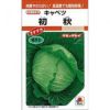 キャベツ 種 【 初秋 】