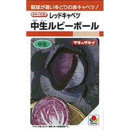 キャベツ 種 【 中生ルビーボール 】