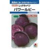 キャベツ 種 【 パワールビー 】