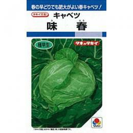 キャベツ 種 【 味春 】 種子 L5千粒