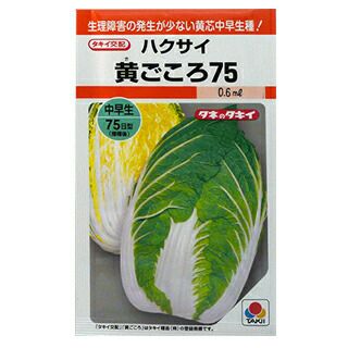 白菜 種 【 黄ごころ75 】 種子 20ml