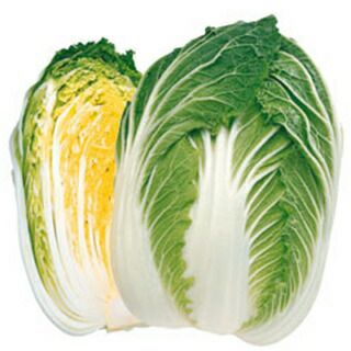 白菜 種 【 黄ごころ80 】 種子 20ml