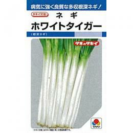ネギ 種 【 ホワイトタイガー 】 種子 2L5千粒