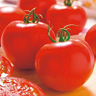 大玉トマト 種 【 トマトホーム桃太郎 RF 】