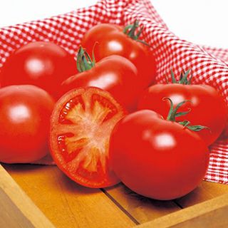 大玉トマト 種 【 トマトホーム桃太郎EX DF 】