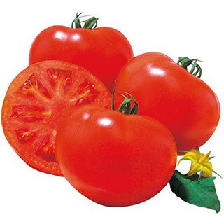 大玉トマト 種 【桃太郎８】 100粒