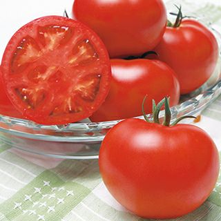 大玉トマト 種 【桃太郎ギフト】 50粒