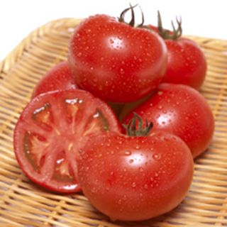 大玉トマト 種 【 トマト桃太郎なつみ DF 】