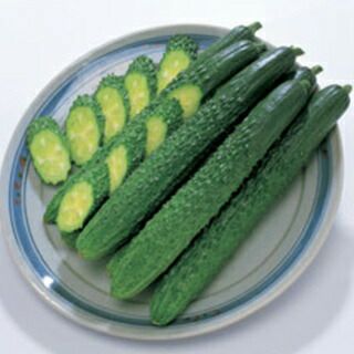 きゅうり 種 【シャキット】 350粒